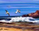 Ocean Flight Art Print