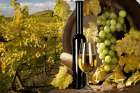 White Wine and Green Grapes Art Print