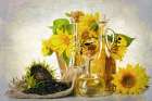Sunflowers Seeds and Oil Art Print