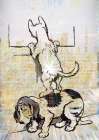 Peeping Tom Cat Art Print