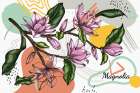 Magnolia 742 Art Print