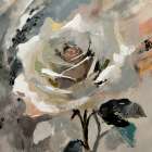 Elegance Unfurled Art Print
