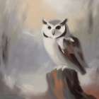 Hoot of Solitude Art Print