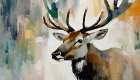 The Elks Gaze Art Print