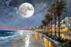 Moonlit Night In Santa Monica Coastal Print