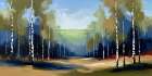 Birch Shadows Art Print