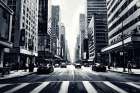 Monochrome Metropolis Art Print