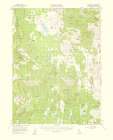 Hayden Hill California Quad - USGS 1959 Art Print