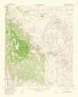 Mt Laguna California Quad - USGS 1953 Art Print