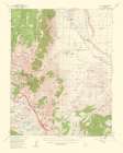 Mt Tom California Quad - USGS 1953 Art Print