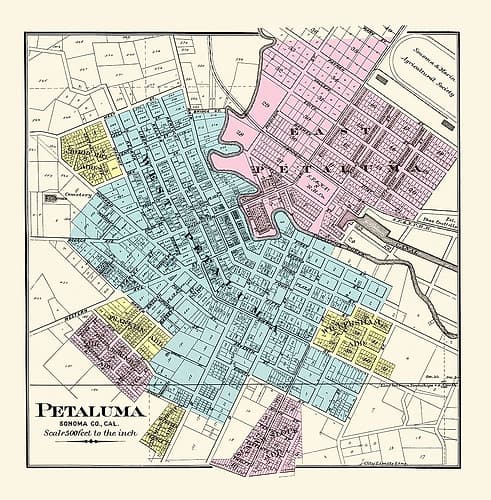 Petaluma California - Thompson 1877 Vintage Print