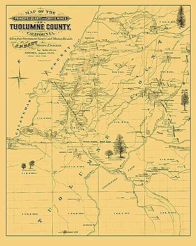 Tuolumne California Landowner - Dart 1878 Vintage Print