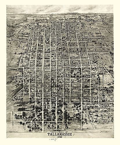 Tallahassee Florida - Wynne 1926 Vintage Print