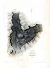 Haleakala Maui County Hawaii - US 1841 Vintage Print