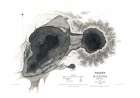 Kilauea County Hawaii - US 1841 Vintage Print