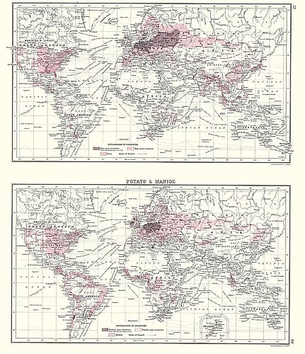 Global Potato Manioc - Bartholomew 1907 Art Print