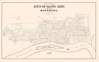 St Paul Minnesota - Nichols 1852 Vintage Print