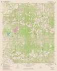 Pinebur Mississippi Quad - USGS 1969 Art Print