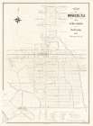 Roselle New Jersey - Lansley 1887 Vintage Print