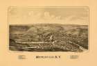 Middleville New York - Burleigh 1890 Vintage Print