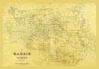 Harris County Texas - 1876 Art Print by Unknown