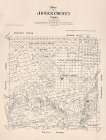Jones County Texas - Walsh 1879 Vintage Print