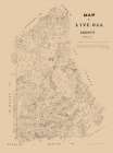 Live Oak County Texas - Walsh 1879 Vintage Print
