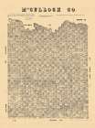 McCulloch County Texas - Walsh 1879 Vintage Print