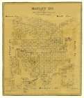 Motley County Texas - Matthews 1879 Vintage Print