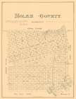 Nolan County Texas - Walsh 1880 Vintage Print