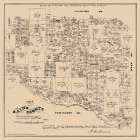 Rains County Texas - Walsh 1880 Vintage Print