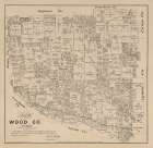 Wood County Texas - Walsh 1879 Art Print