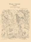 Wise County Texas - Walsh 1879 Vintage Print