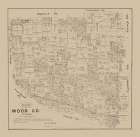Wood County Texas- Walsh 1879 Vintage Print