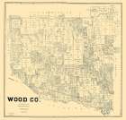 Wood County Texas - Pressler 1895 Vintage Print