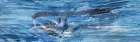 Whale Tail Art Print