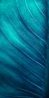 Green Tropics Art Print