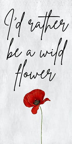 Wild Flower Art Print