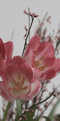 Planet tulip Art Print