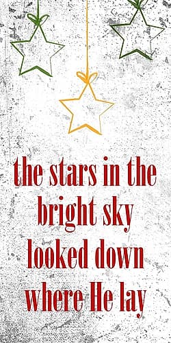 The Stars Art Print