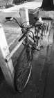Street Bicycle Art Print