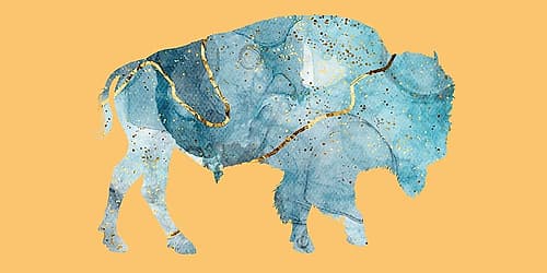 Abstract Buffalo 2 Art Print