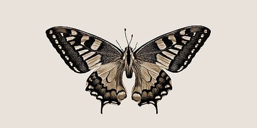 Fly With Me Art Print