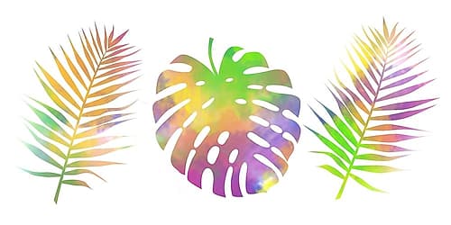 BUbbly Tropics 2 Plage reproduction