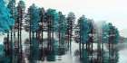 Take Me To The Bayou Art Print
