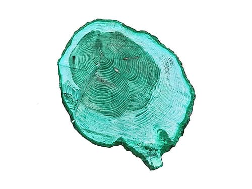 Wood Rings Art Print