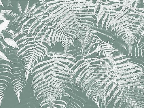 Fern Times Nature Print