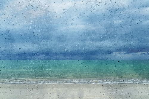 Gaze Into The Pacific Coastal Print