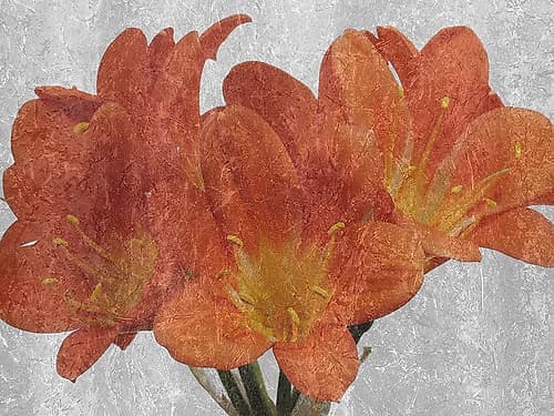 Oranger In The Garden Art Print
