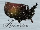 America Art Print